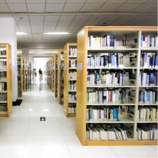 Factory Direct Double-Sided Bo - огляд і ціна Home Office And Library